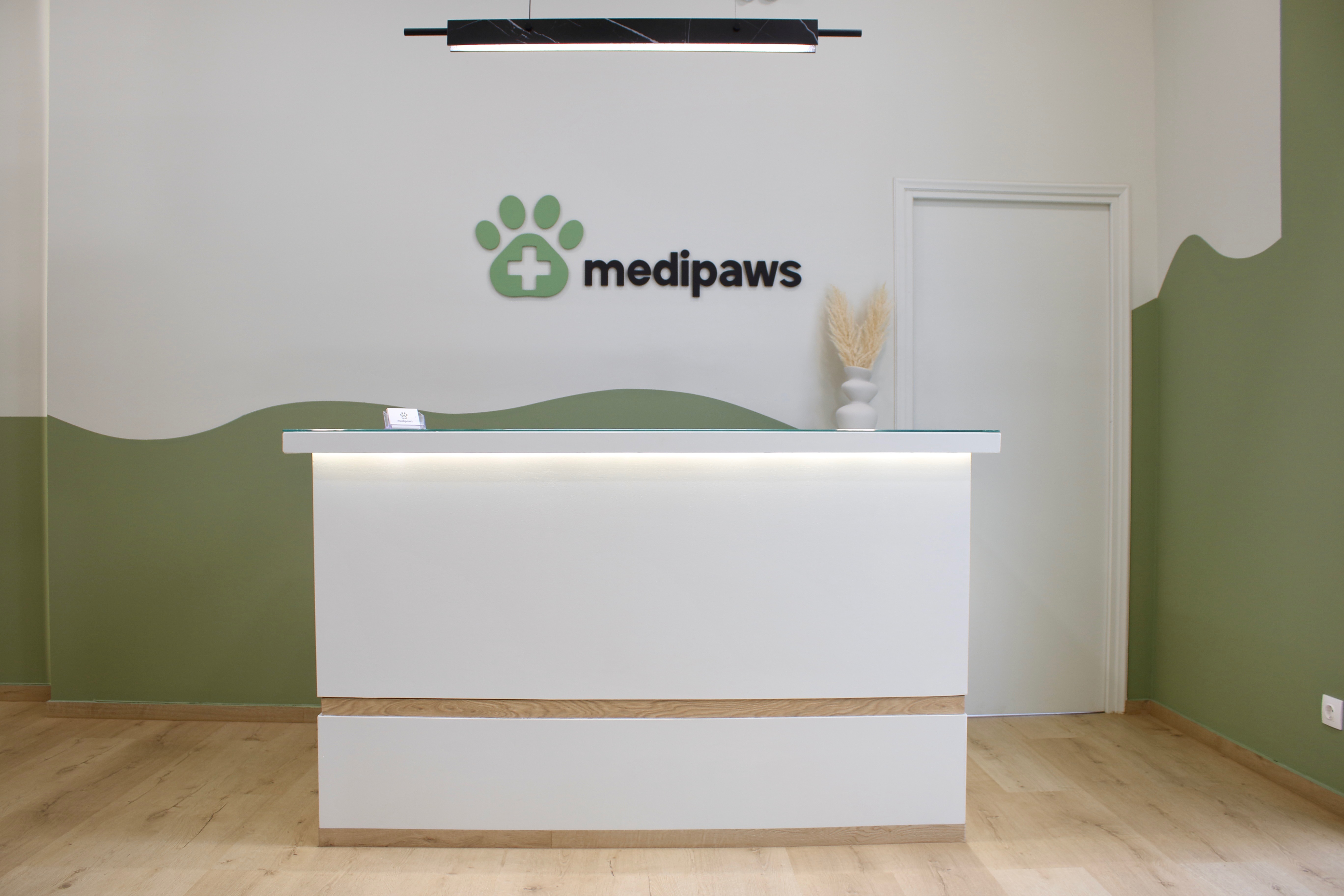 Η γραμματεία και η υποδοχή του MediPaws